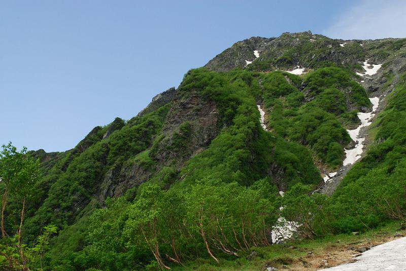 DSC_6096.jpg