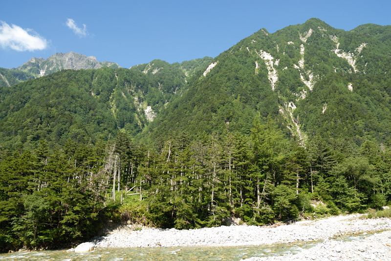 DSC_1773.jpg