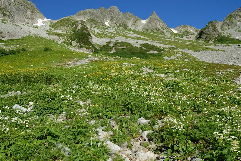 DSC_1821.jpg