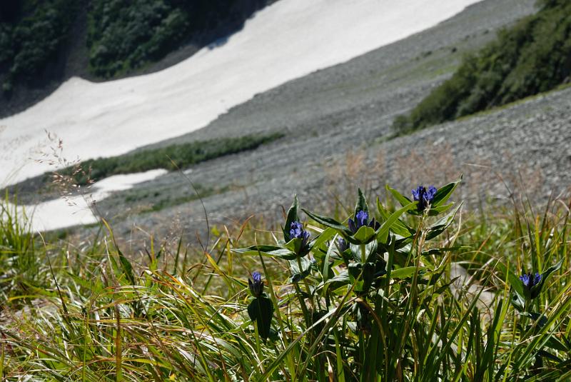 DSC_1833.jpg