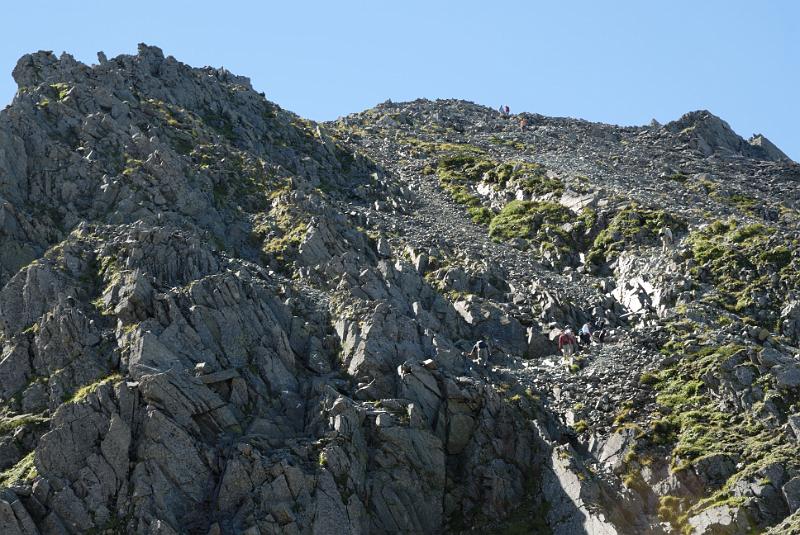 DSC_1841.jpg