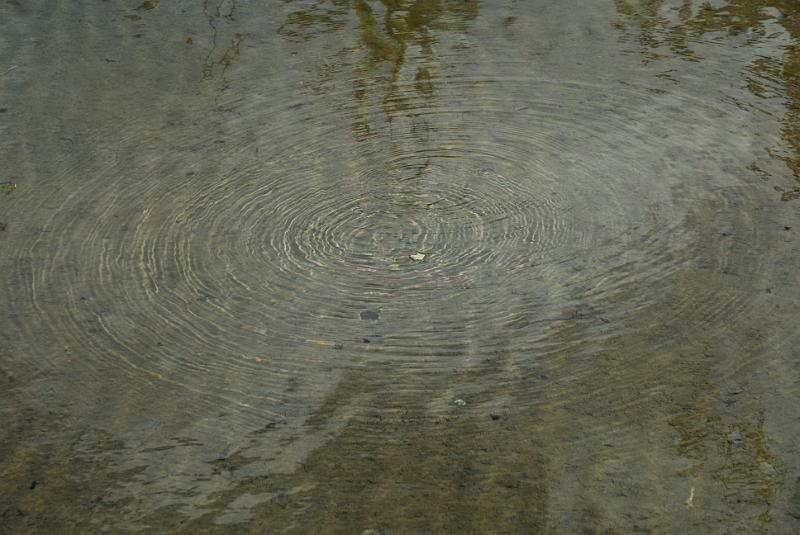 DSC_1884.jpg