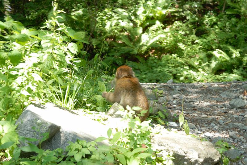 DSC_1899.jpg