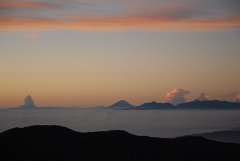 DSC_4436