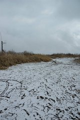 DSC_1082