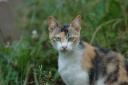 dsc_3710.jpg