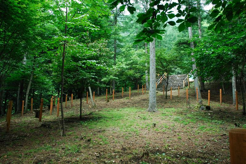 DSC_5950.jpg