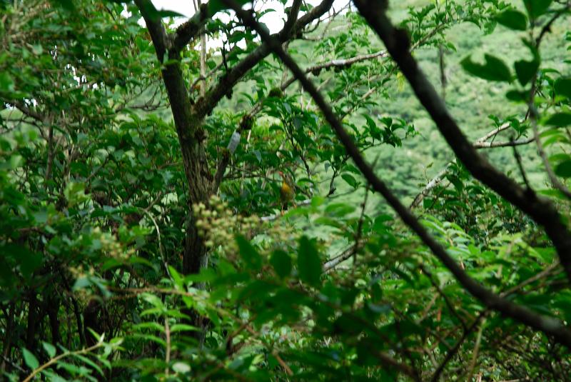 DSC_6215.jpg