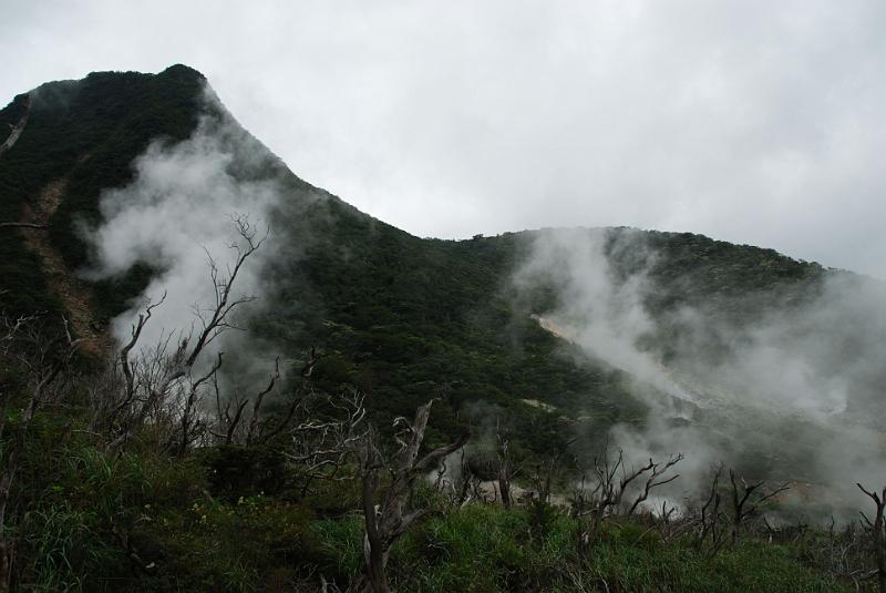 DSC_6266.jpg