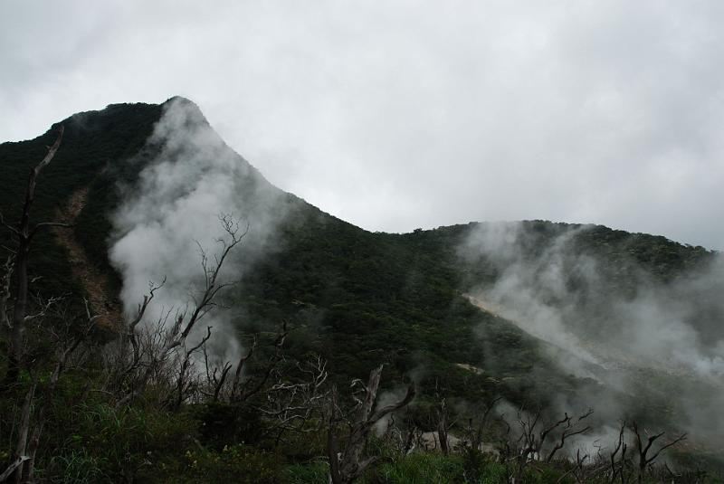 DSC_6267.jpg