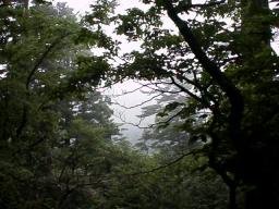 r0300130.jpg