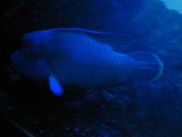 dscn0110.jpg