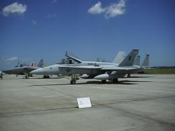 r0300010.jpg