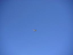r0300020.jpg