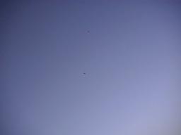 r0300026.jpg