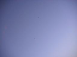 r0300027.jpg