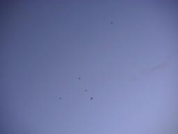 r0300031.jpg