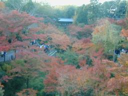 dscn0406.jpg