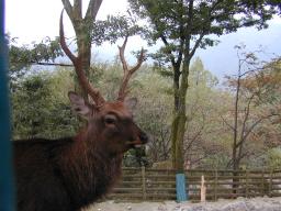 dscn0087.jpg