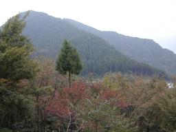 dscn0090.jpg