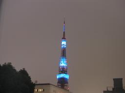 p5260638.jpg
