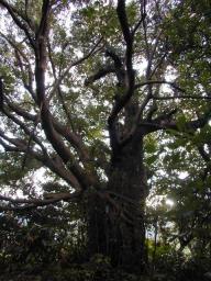 dscn0174.jpg
