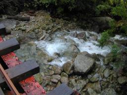 dscn0192.jpg