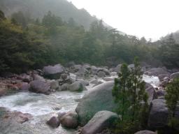 dscn0193.jpg