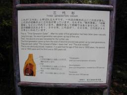 dscn0196.jpg