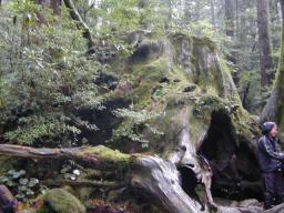 dscn0198.jpg
