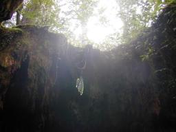 dscn0201.jpg
