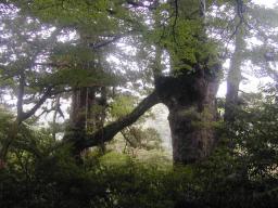 dscn0205.jpg