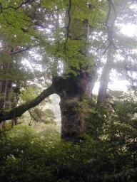 dscn0206.jpg