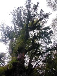 dscn0211.jpg
