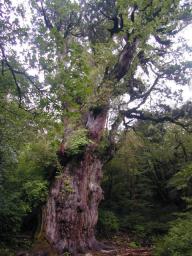 dscn0213.jpg