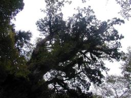 dscn0215.jpg
