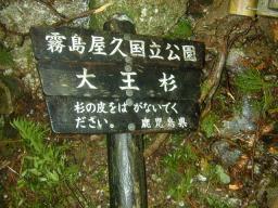 dscn0219.jpg