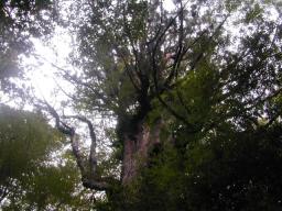 dscn0220.jpg