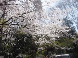 DSC04078.JPG