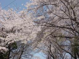 DSC04080.JPG
