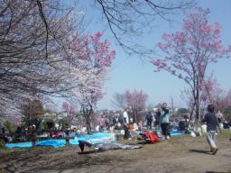 DSC04082.JPG