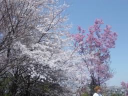 DSC04083.JPG
