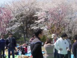 DSC04085.JPG