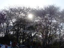 DSC04115.JPG