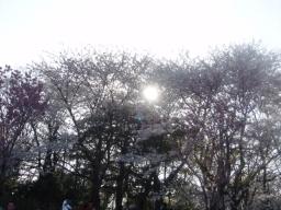 DSC04116.JPG
