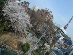 dscn0006.jpg