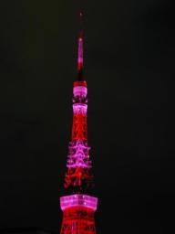 dscn0005.jpg