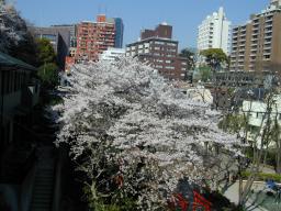 dscn0001.jpg