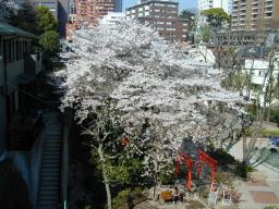dscn0002.jpg