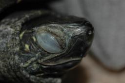 dsc_2385.jpg